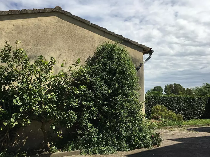 Immagine 28 di Casa bifamiliare in vendita  a Pisa