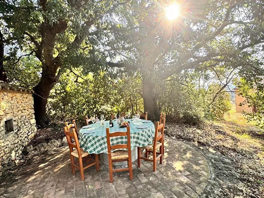 Immagine 19 di Casa colonica in vendita  a Pomarance