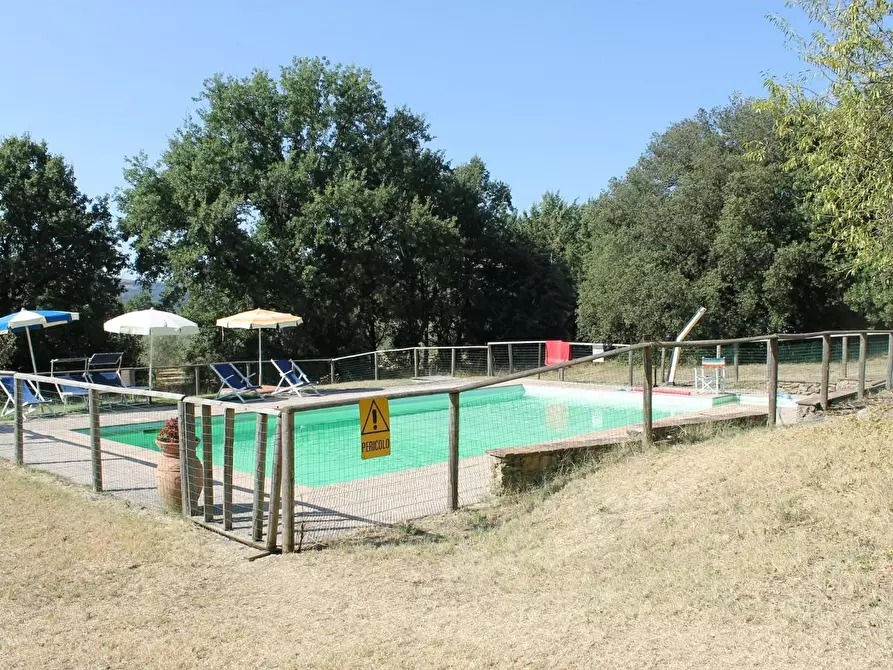 Immagine 36 di Casa colonica in vendita  a Pomarance