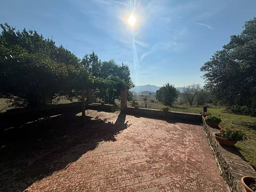 Immagine 39 di Casa colonica in vendita  a Pomarance