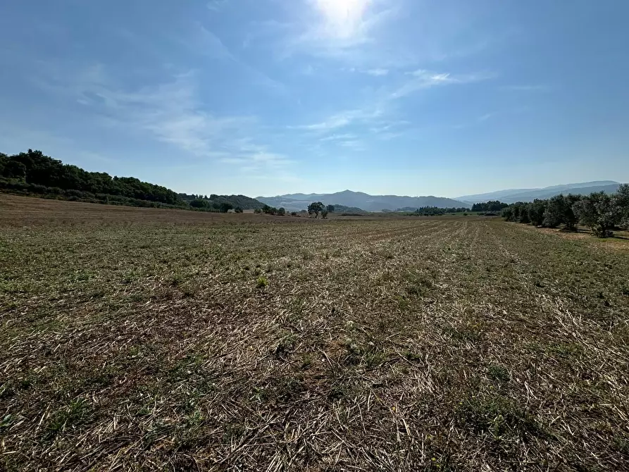 Immagine 9 di Casa colonica in vendita  a Pomarance