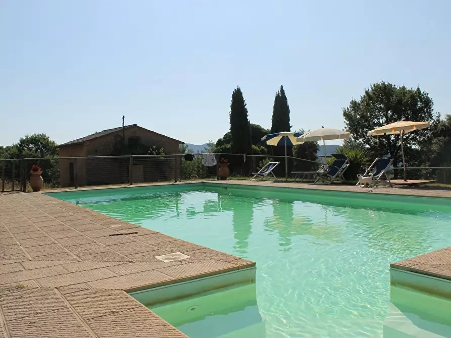 Immagine 6 di Casa colonica in vendita  a Pomarance