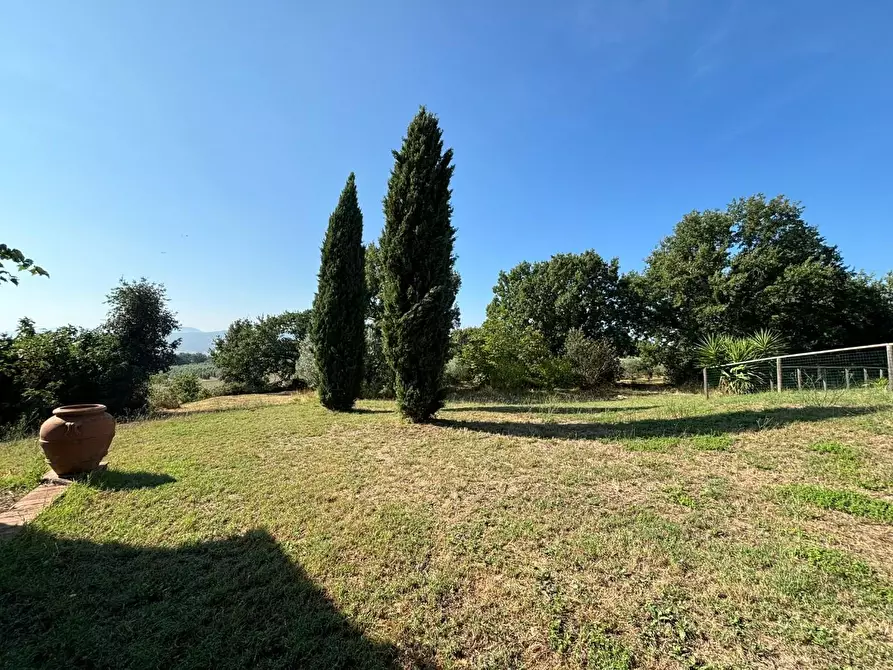 Immagine 40 di Casa colonica in vendita  a Pomarance