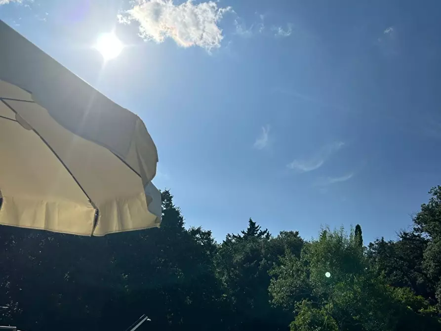 Immagine 8 di Casa colonica in vendita  a Pomarance