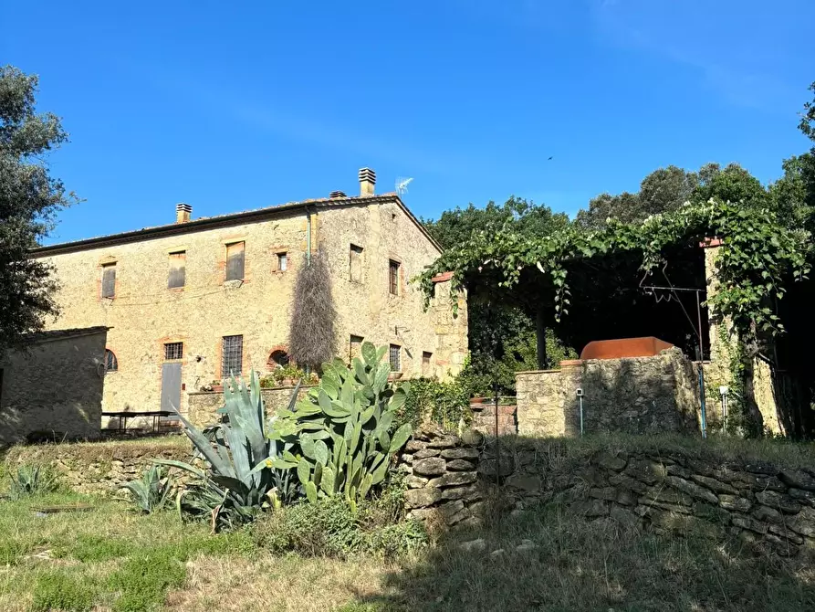 Immagine 4 di Casa colonica in vendita  a Pomarance