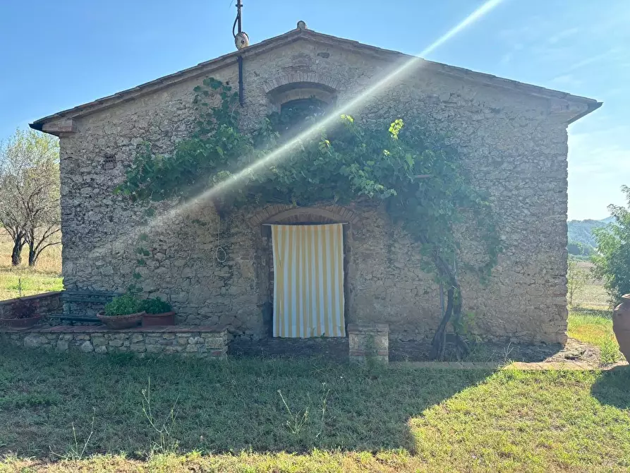 Immagine 31 di Casa colonica in vendita  a Pomarance