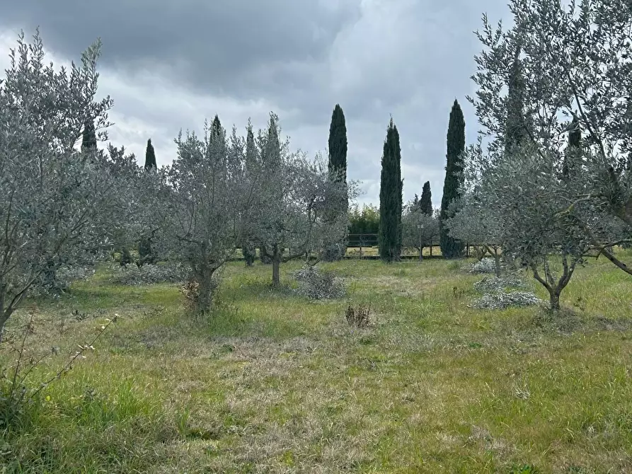 Immagine 37 di Casa colonica in vendita  a Pomarance