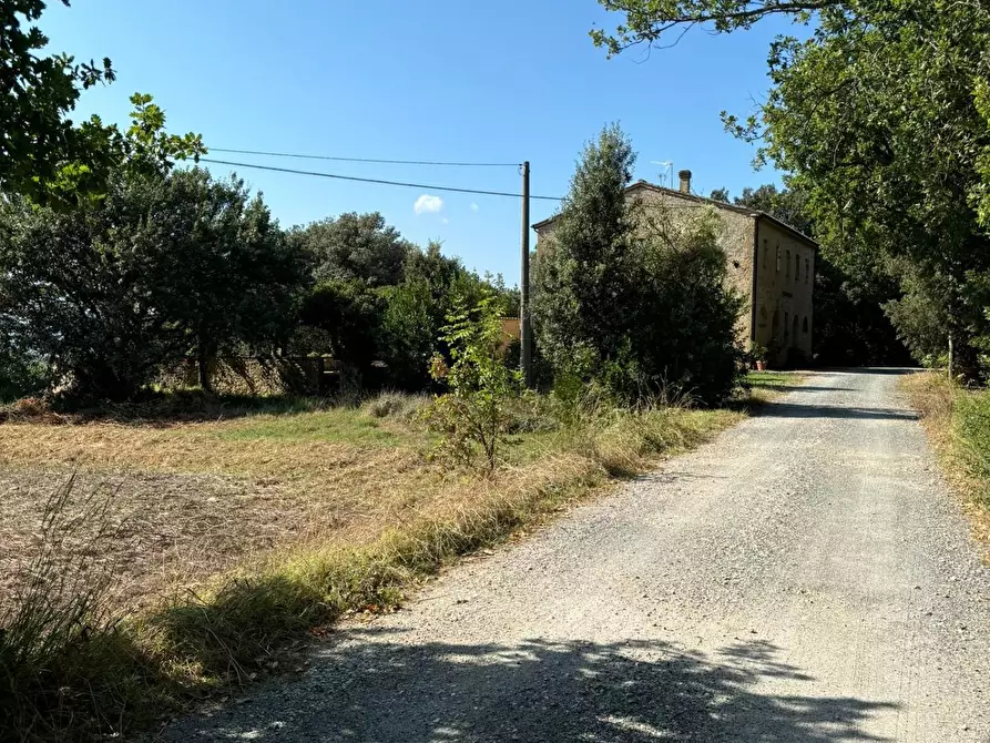 Immagine 13 di Casa colonica in vendita  a Pomarance