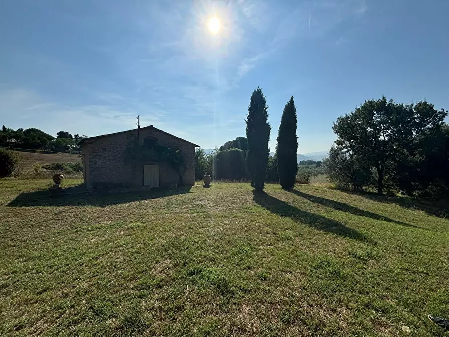 Immagine 17 di Casa colonica in vendita  a Pomarance