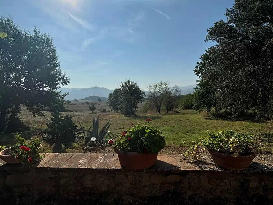 Immagine 12 di Casa colonica in vendita  a Pomarance