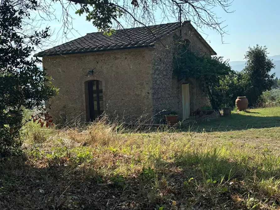 Immagine 34 di Casa colonica in vendita  a Pomarance
