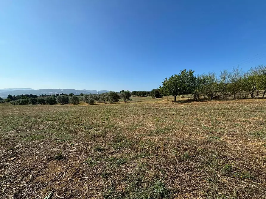 Immagine 2 di Casa colonica in vendita  a Pomarance