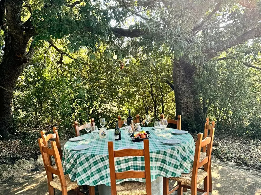 Immagine 35 di Casa colonica in vendita  a Pomarance