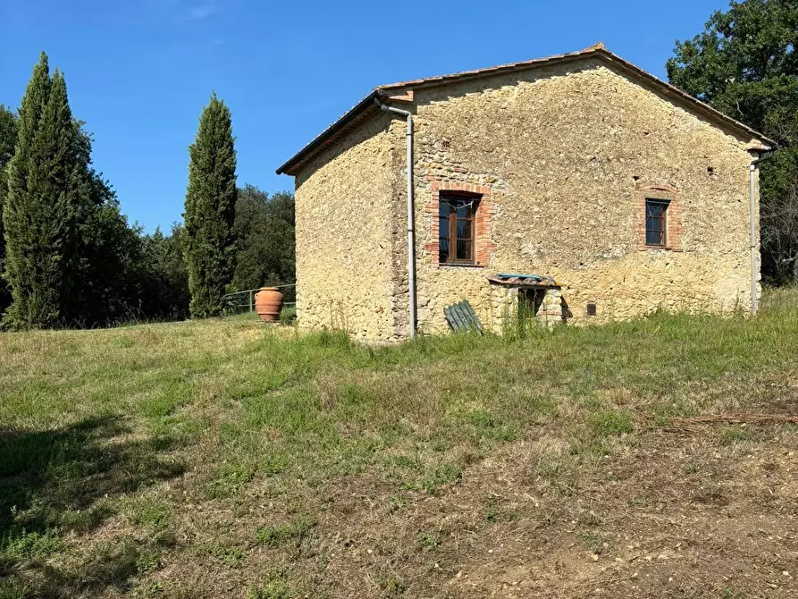 Immagine 3 di Casa colonica in vendita  a Pomarance
