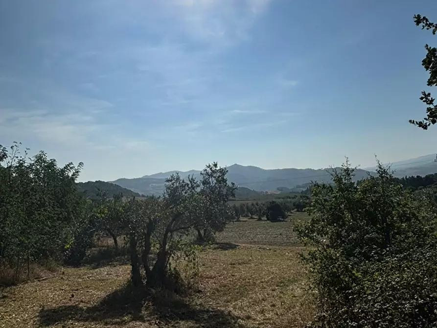 Immagine 29 di Casa colonica in vendita  a Pomarance