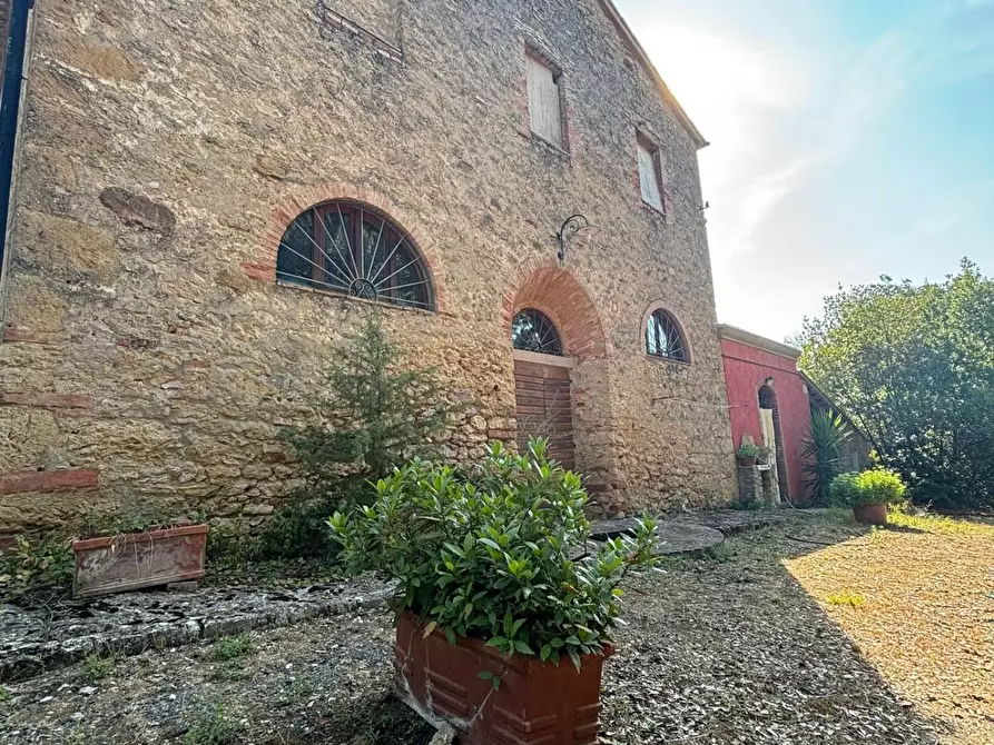 Immagine 5 di Casa colonica in vendita  a Pomarance