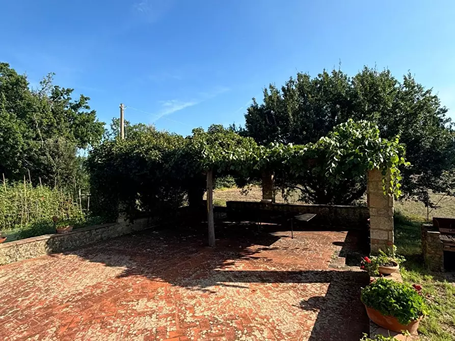 Immagine 21 di Casa colonica in vendita  a Pomarance