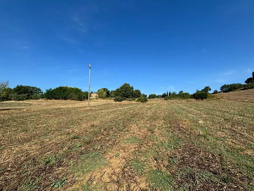 Immagine 14 di Casa colonica in vendita  a Pomarance