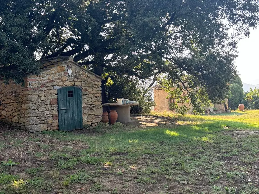 Immagine 32 di Casa colonica in vendita  a Pomarance