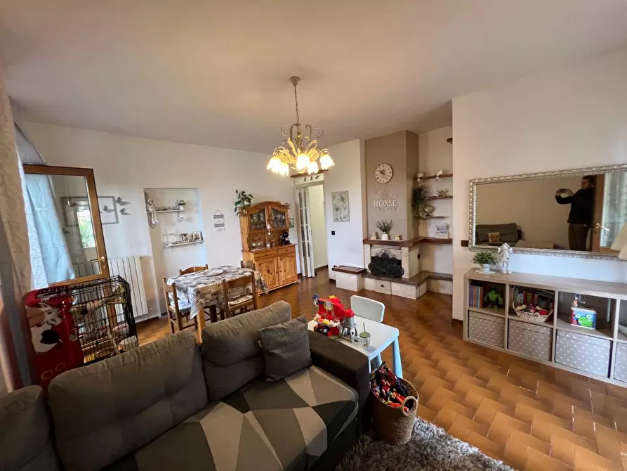 Immagine 21 di Appartamento in vendita  a Montescudaio