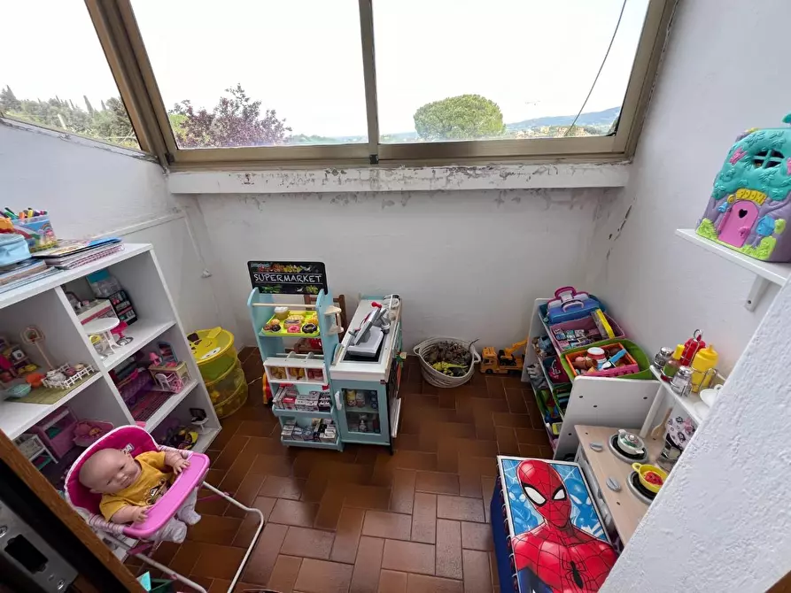 Immagine 17 di Appartamento in vendita  a Montescudaio