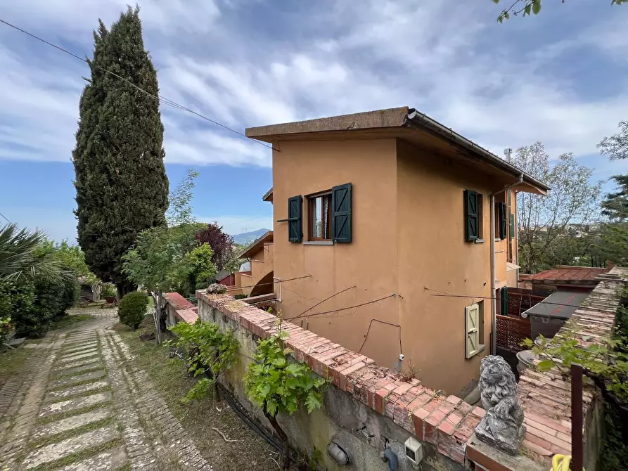 Immagine 1 di Appartamento in vendita  a Montescudaio