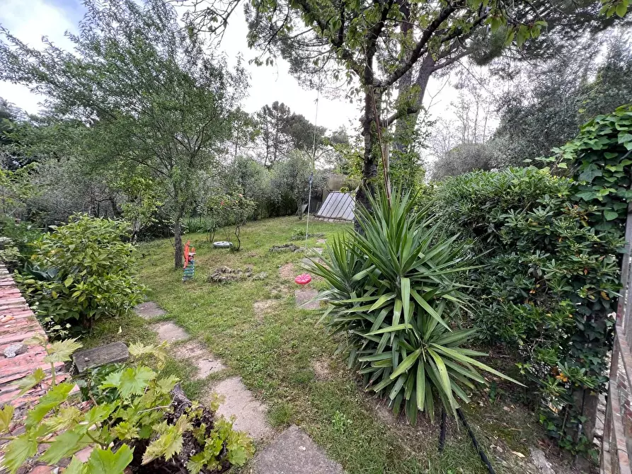 Immagine 3 di Appartamento in vendita  a Montescudaio