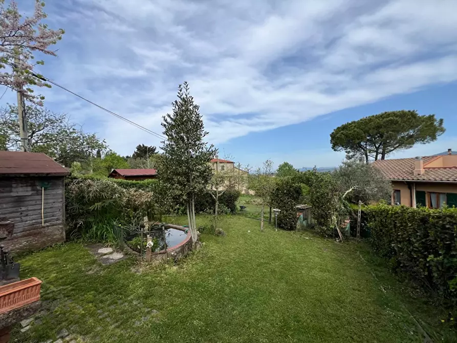 Immagine 5 di Appartamento in vendita  a Montescudaio