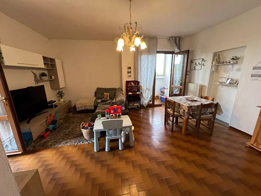 Immagine 31 di Appartamento in vendita  a Montescudaio