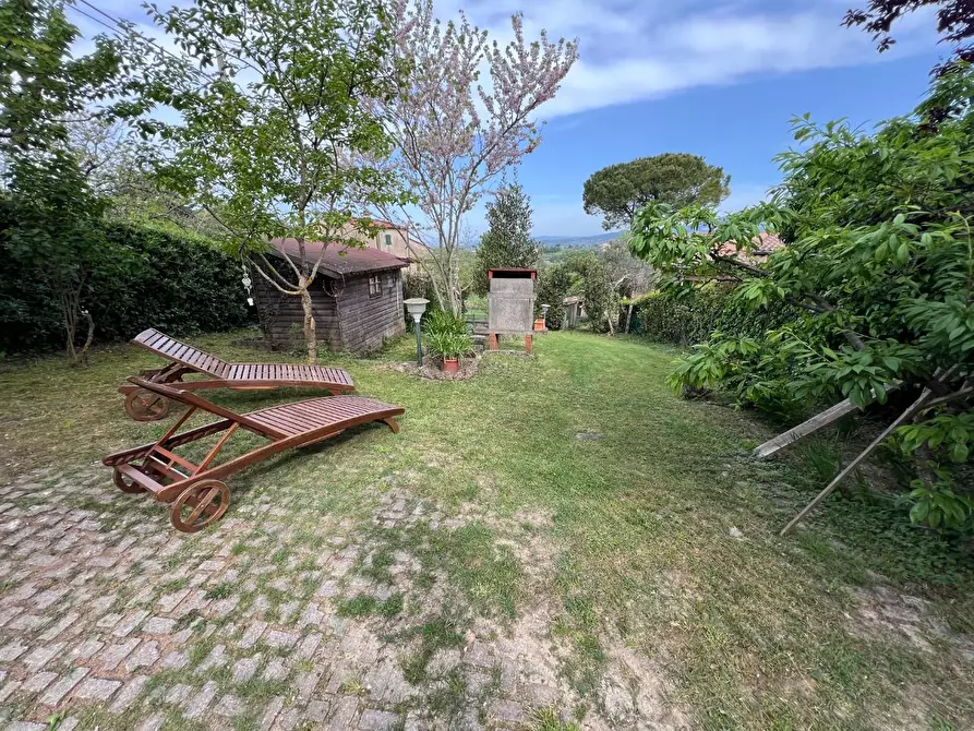 Immagine 12 di Appartamento in vendita  a Montescudaio