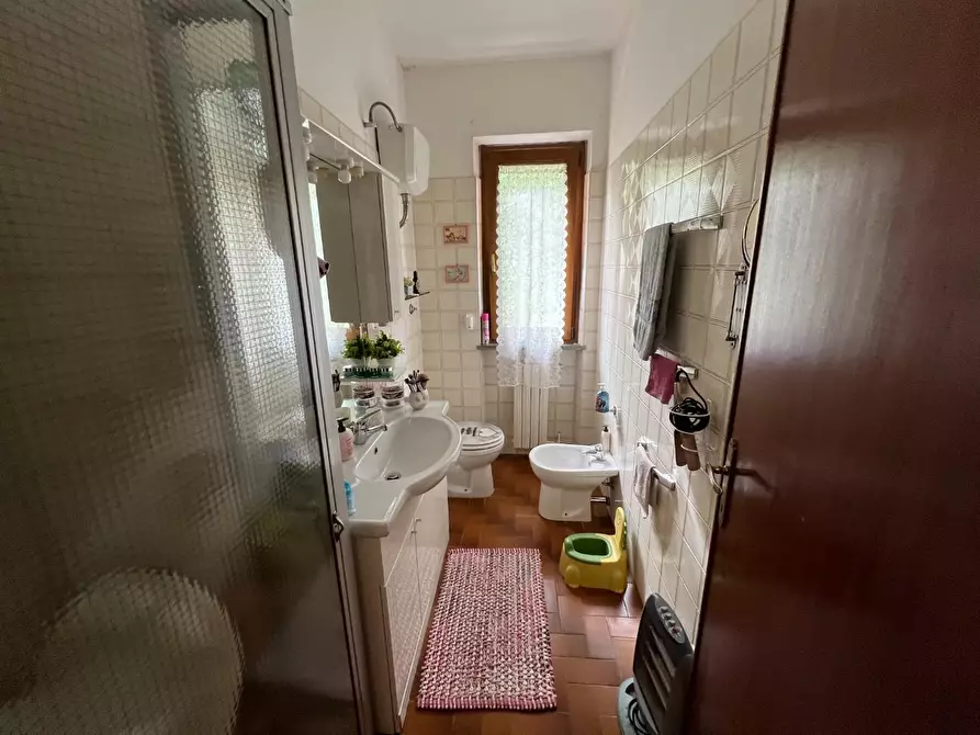 Immagine 24 di Appartamento in vendita  a Montescudaio