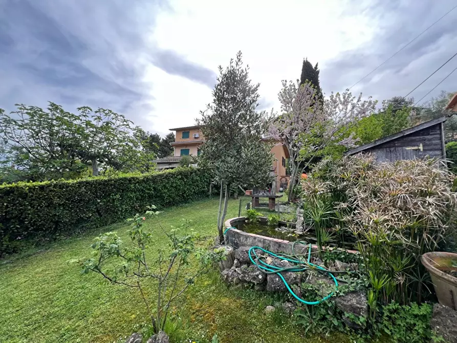 Immagine 9 di Appartamento in vendita  a Montescudaio