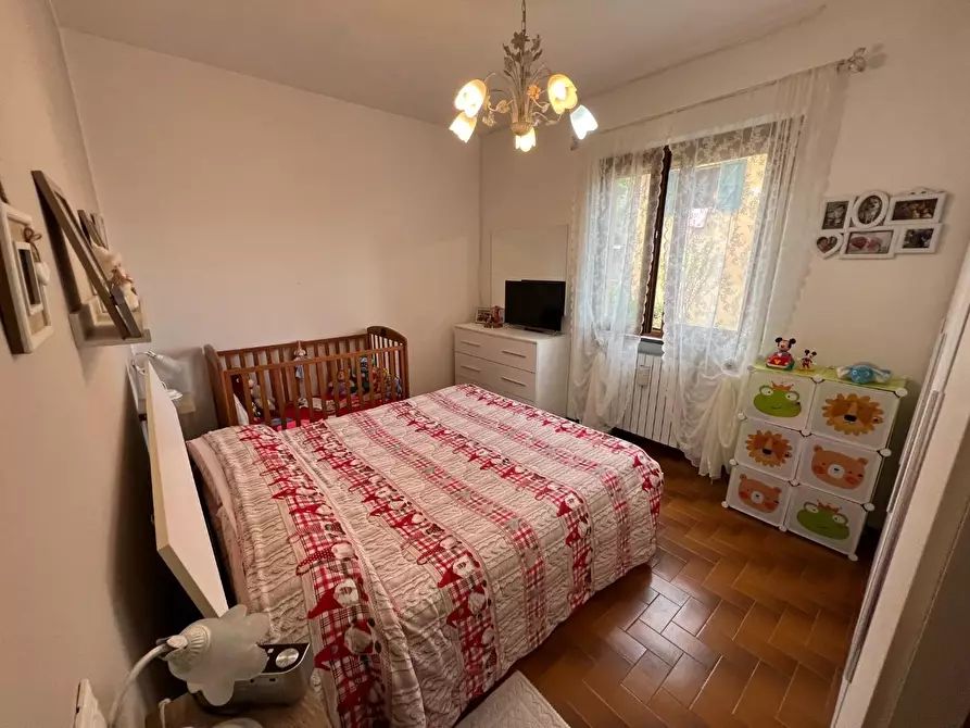 Immagine 27 di Appartamento in vendita  a Montescudaio