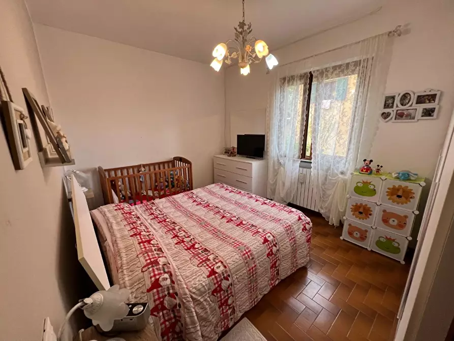 Immagine 28 di Appartamento in vendita  a Montescudaio