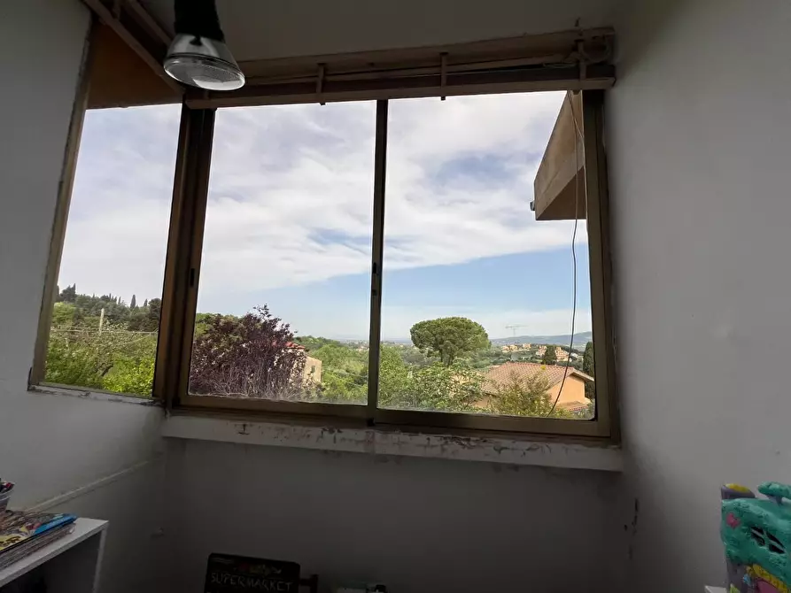 Immagine 18 di Appartamento in vendita  a Montescudaio