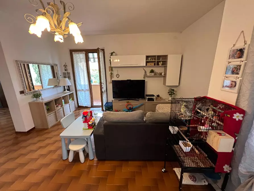 Immagine 20 di Appartamento in vendita  a Montescudaio