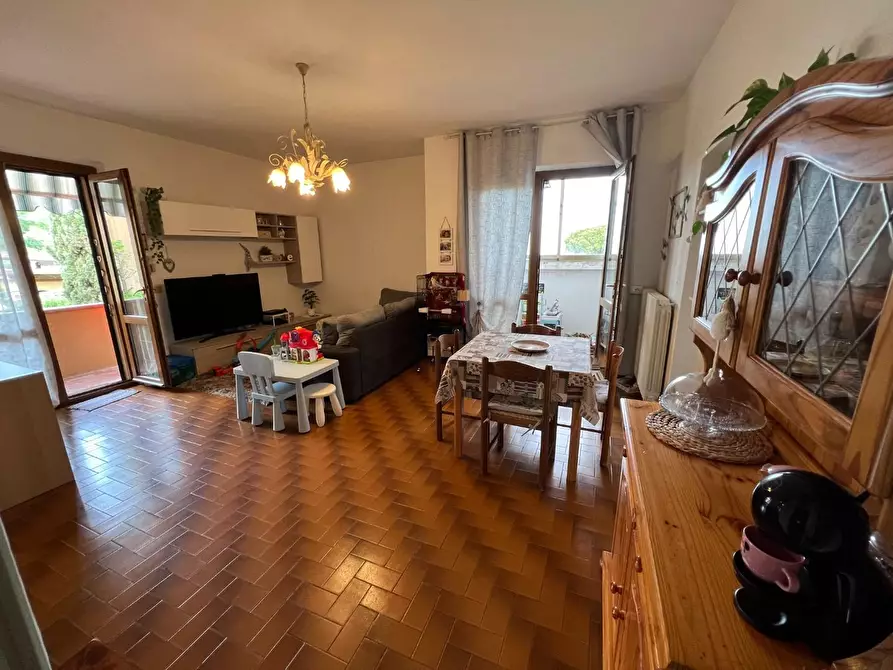 Immagine 32 di Appartamento in vendita  a Montescudaio