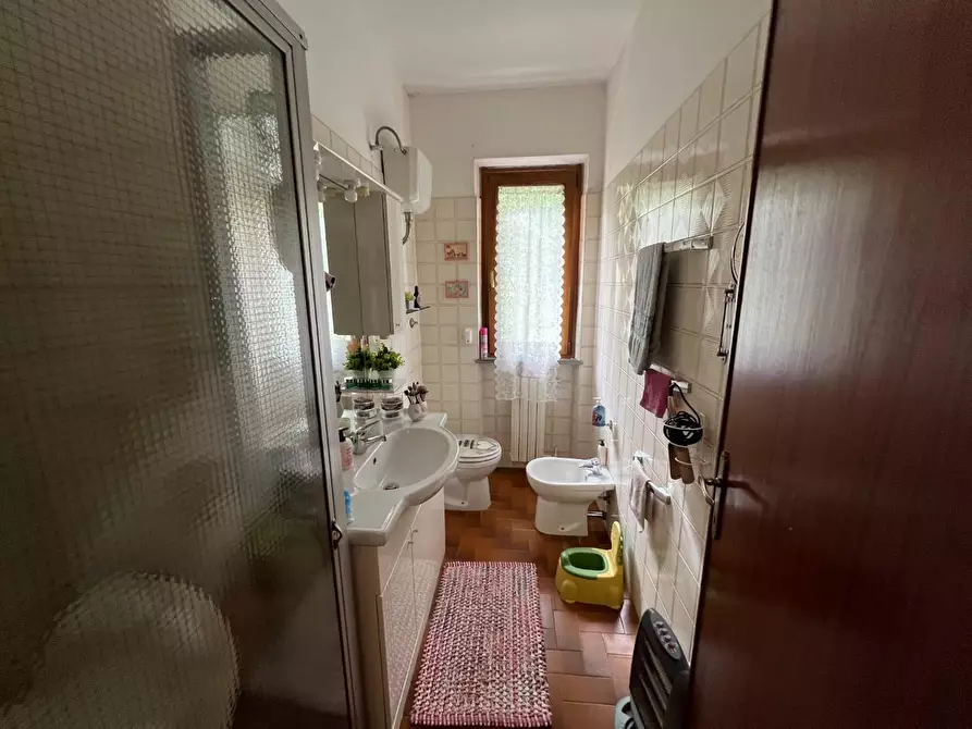 Immagine 26 di Appartamento in vendita  a Montescudaio