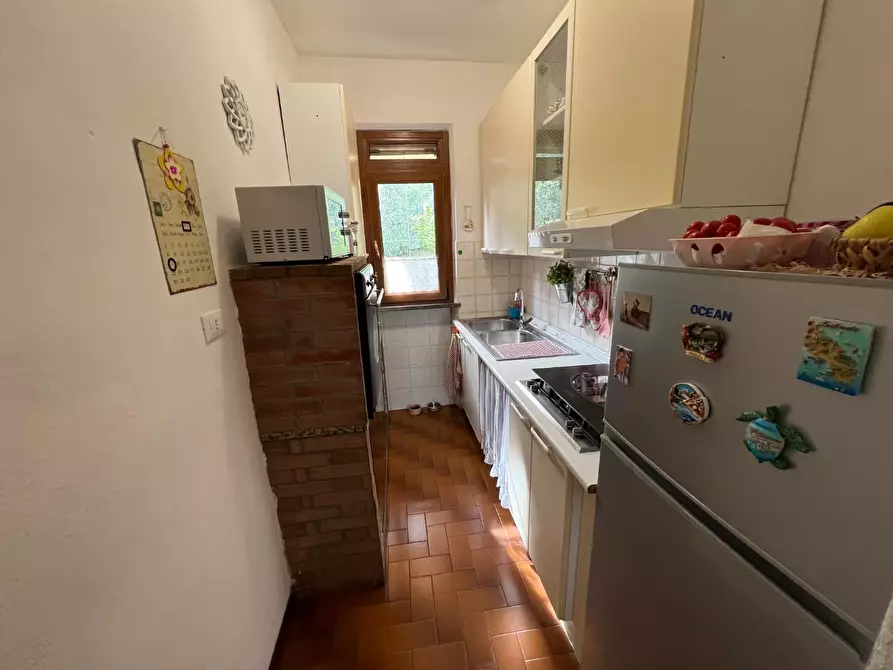 Immagine 23 di Appartamento in vendita  a Montescudaio