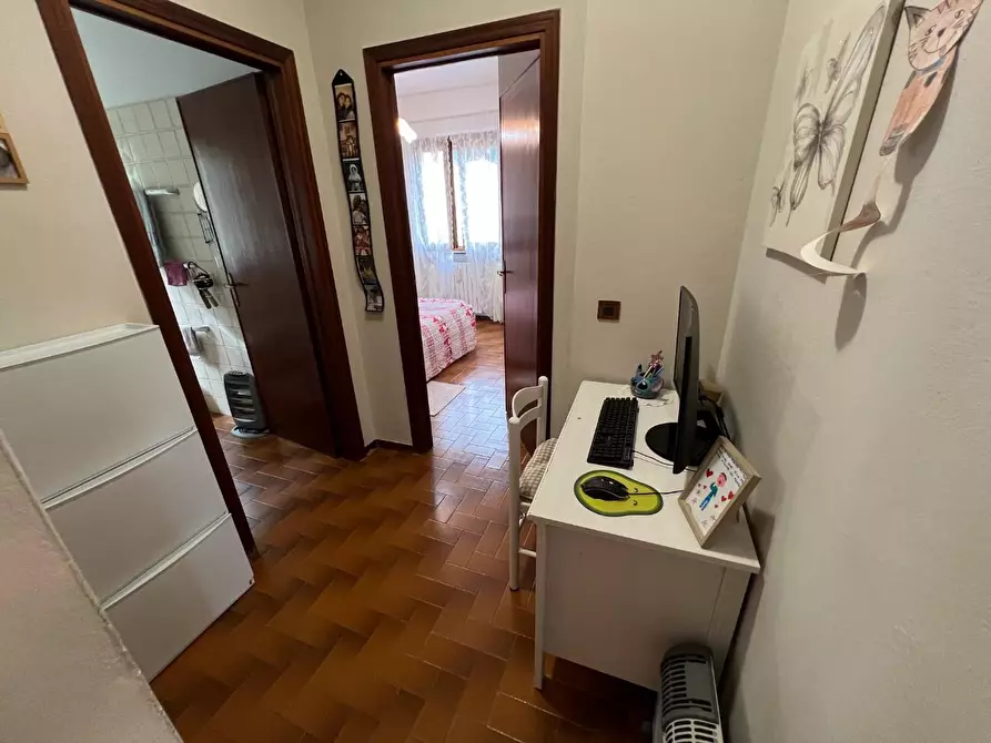 Immagine 30 di Appartamento in vendita  a Montescudaio