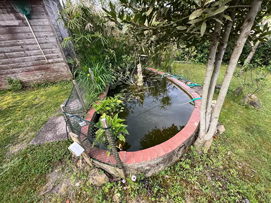 Immagine 11 di Appartamento in vendita  a Montescudaio