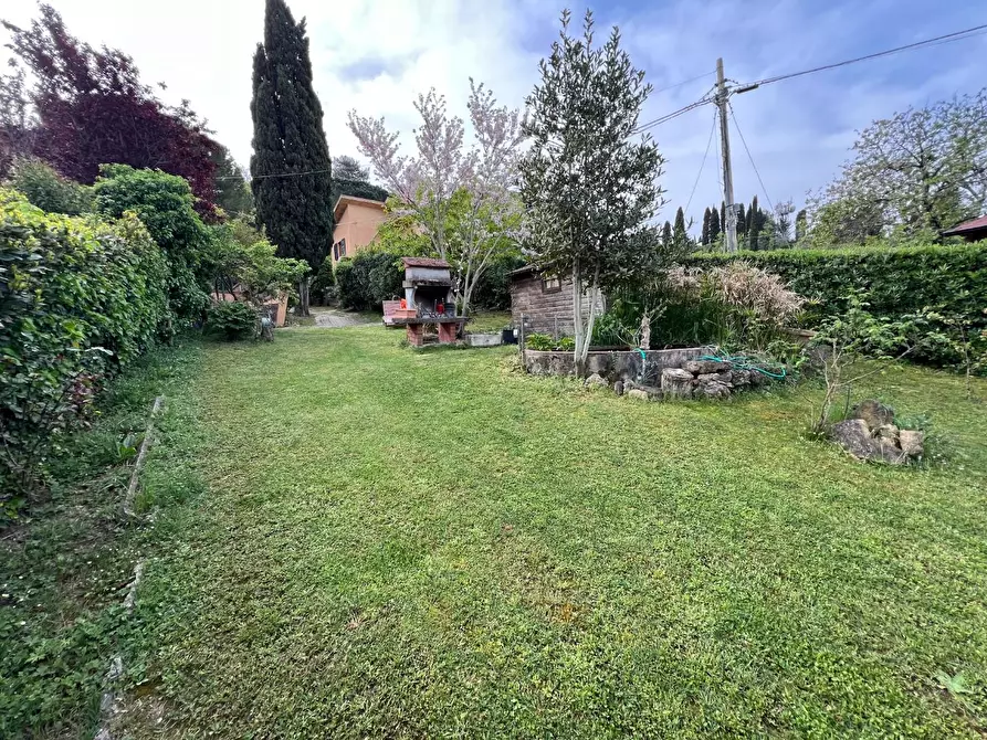 Immagine 8 di Appartamento in vendita  a Montescudaio