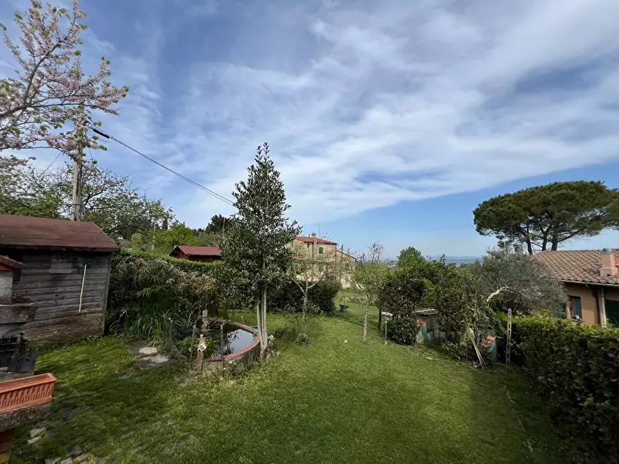 Immagine 14 di Appartamento in vendita  a Montescudaio