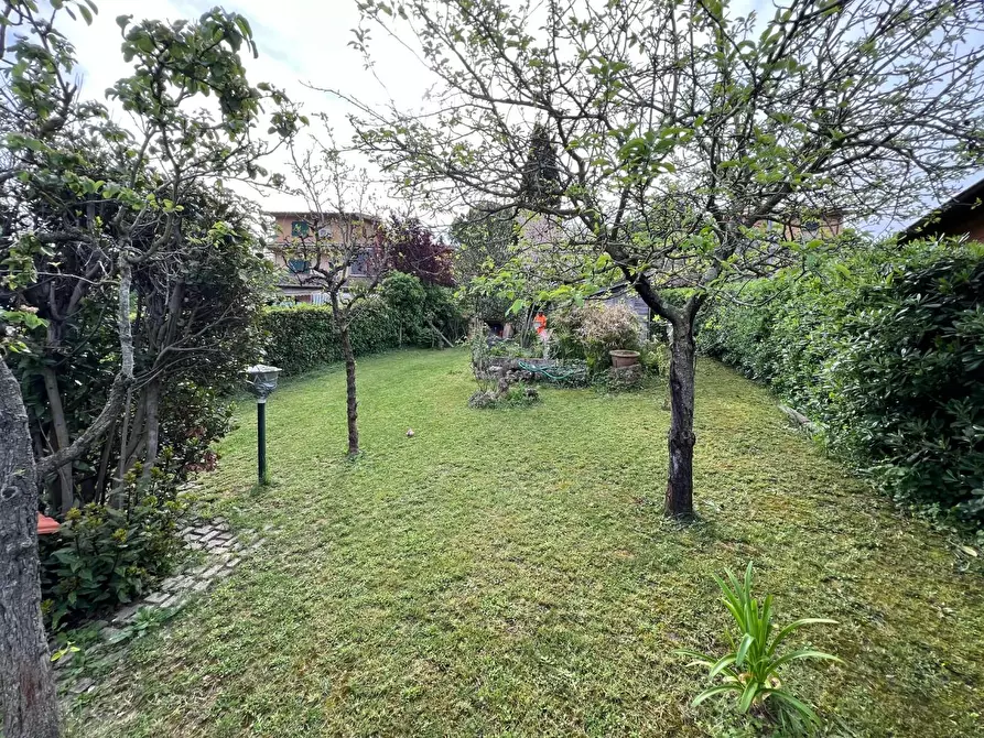 Immagine 7 di Appartamento in vendita  a Montescudaio