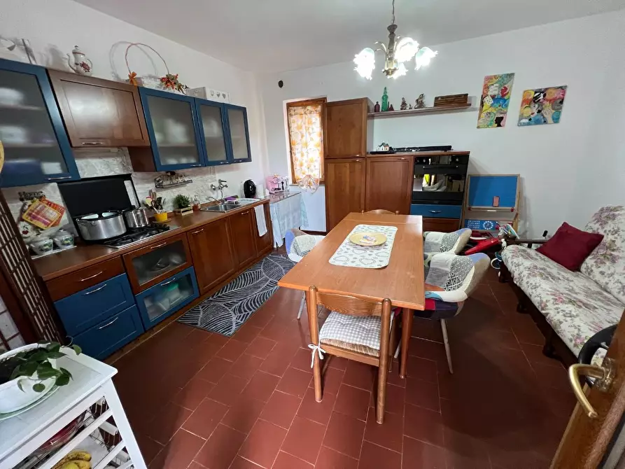 Immagine 13 di Appartamento in vendita  a Montescudaio