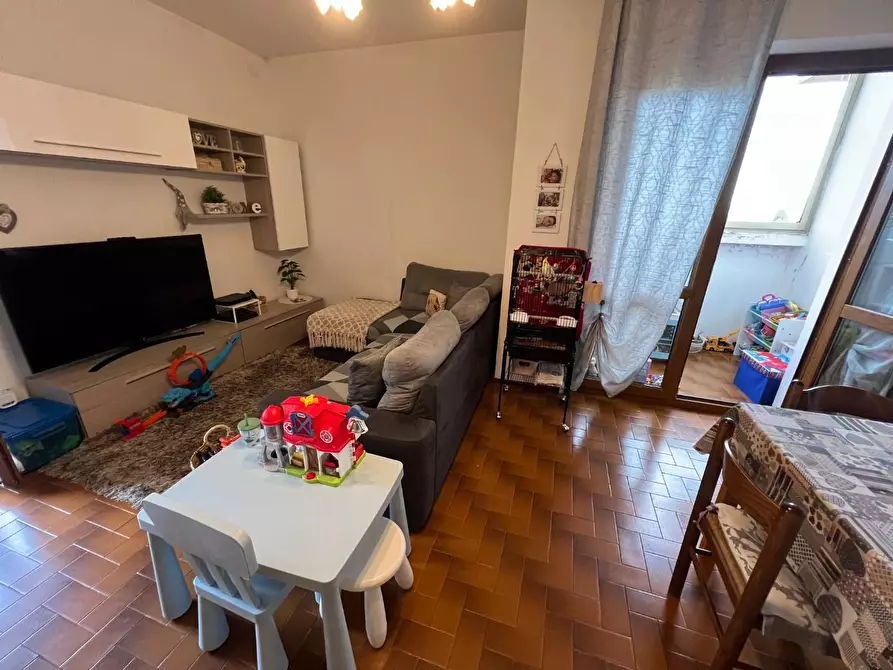 Immagine 36 di Appartamento in vendita  a Montescudaio