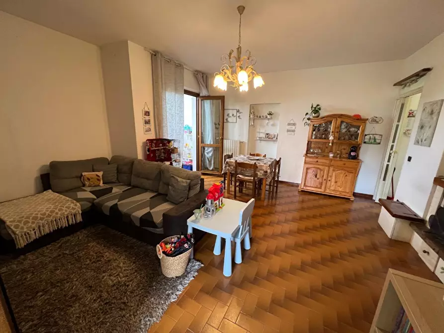 Immagine 22 di Appartamento in vendita  a Montescudaio