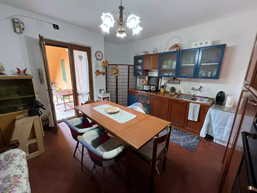 Immagine 15 di Appartamento in vendita  a Montescudaio