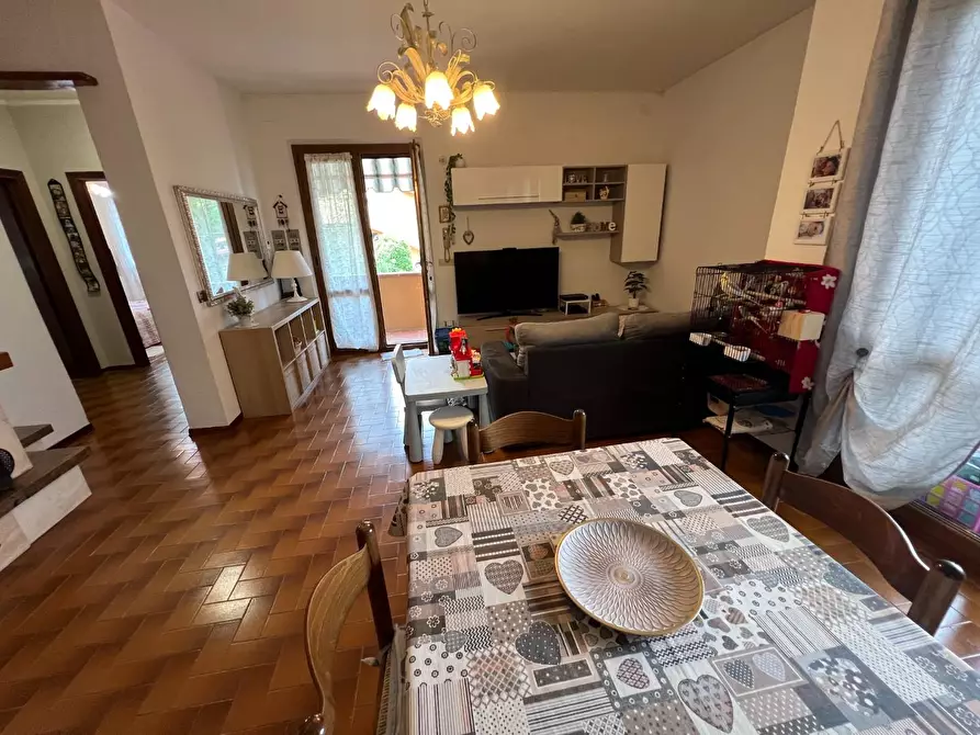 Immagine 34 di Appartamento in vendita  a Montescudaio