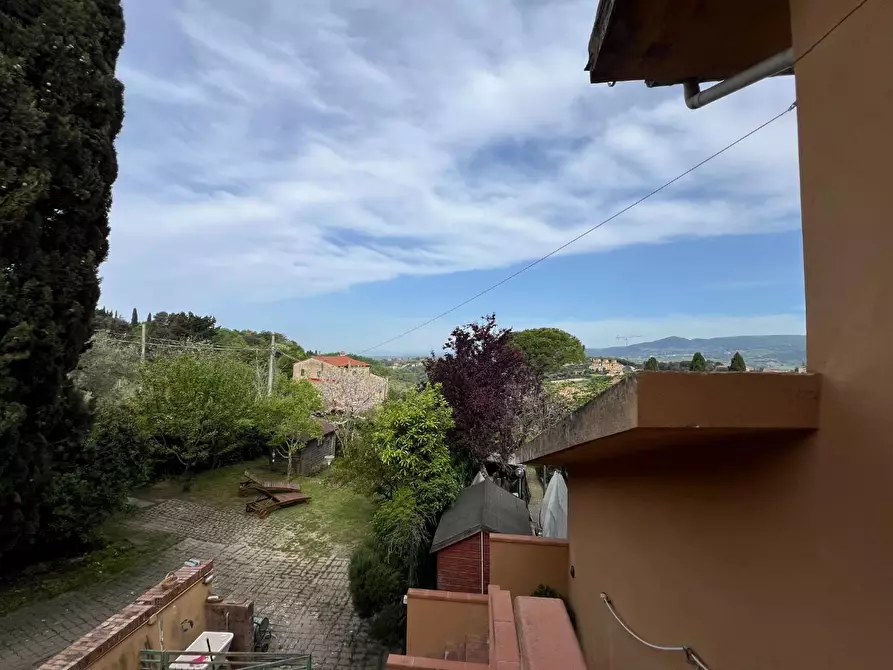 Immagine 16 di Appartamento in vendita  a Montescudaio